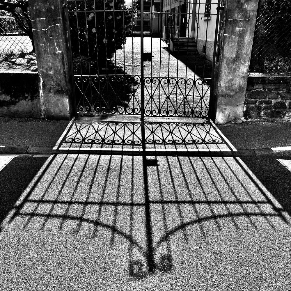 Фотография автора Dario Meroni