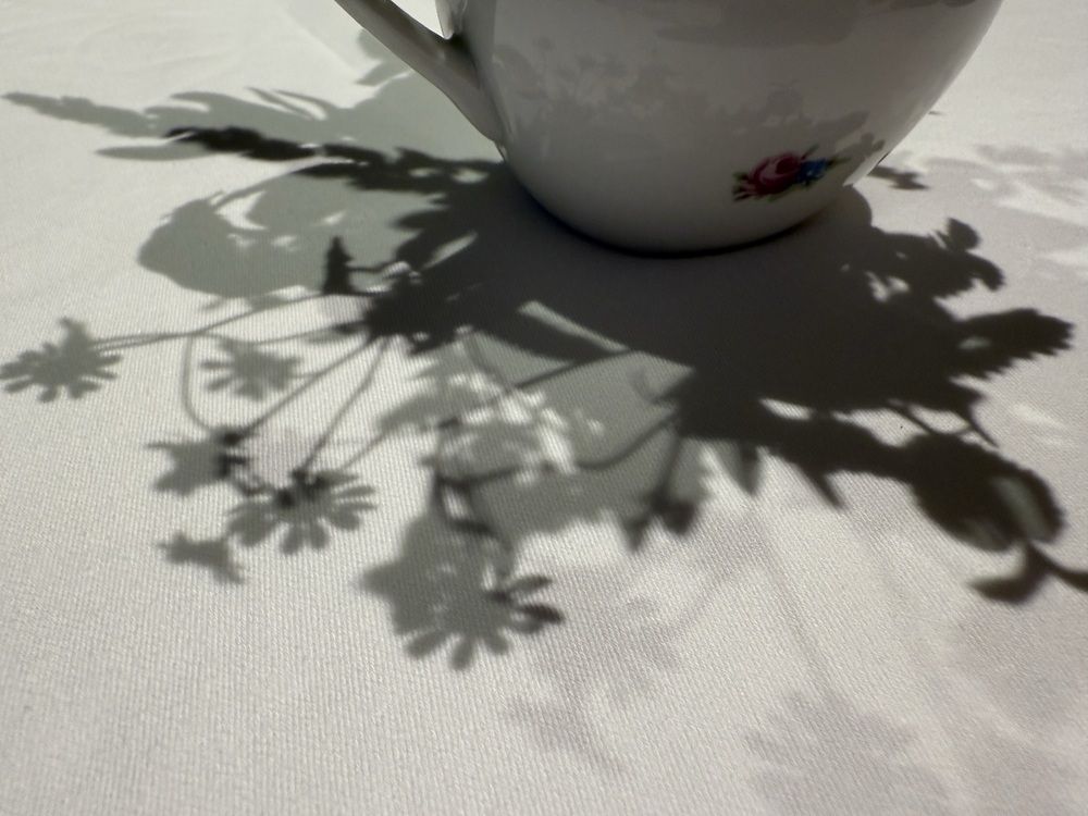 Photograph by Natalia Kuzmina