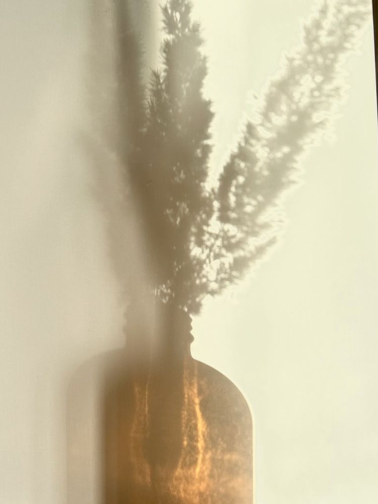 Photograph by Alexandra Ivanchikova