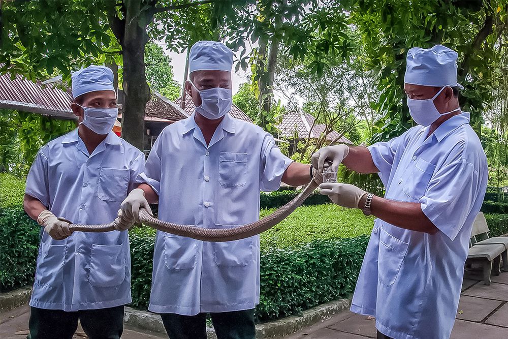 Фотография автора Юрий Михайлович Головкин