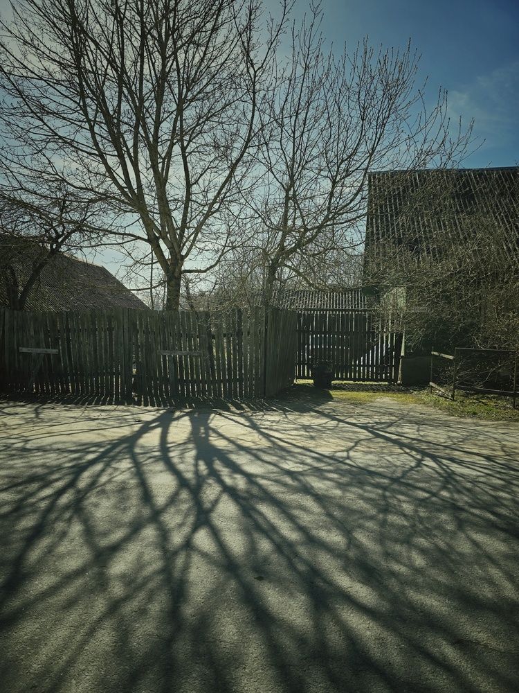 Photograph by Ирина Хлебникова