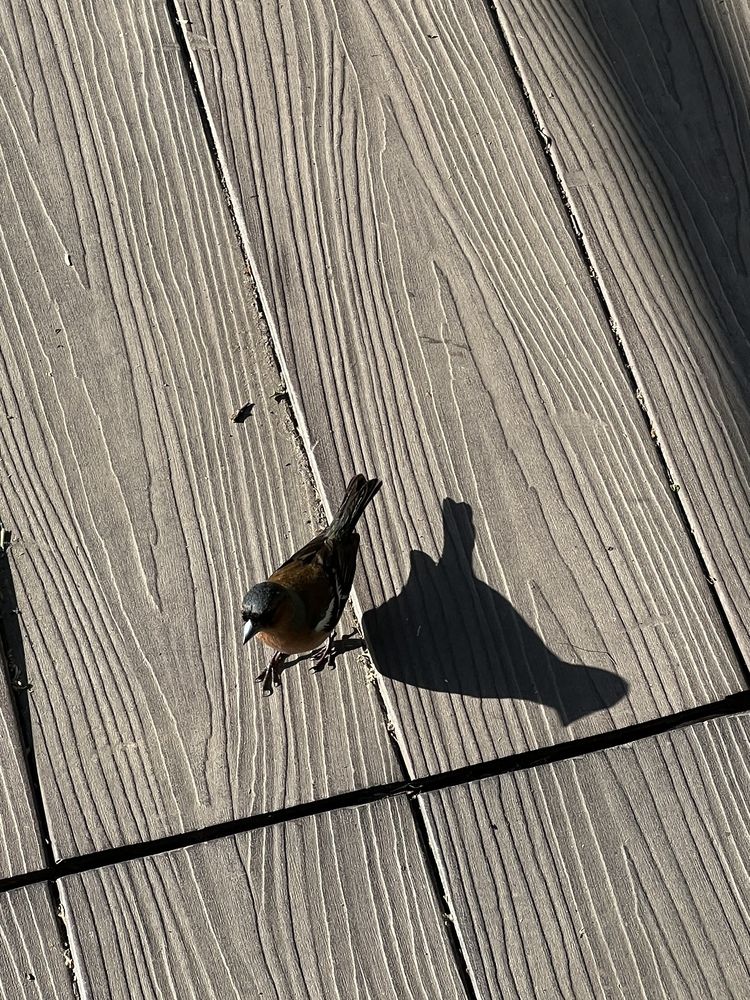 Фотография автора Дмитрий Костяков