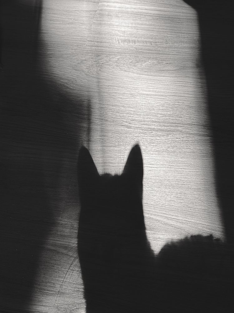 Photograph by Наталья Чехова
