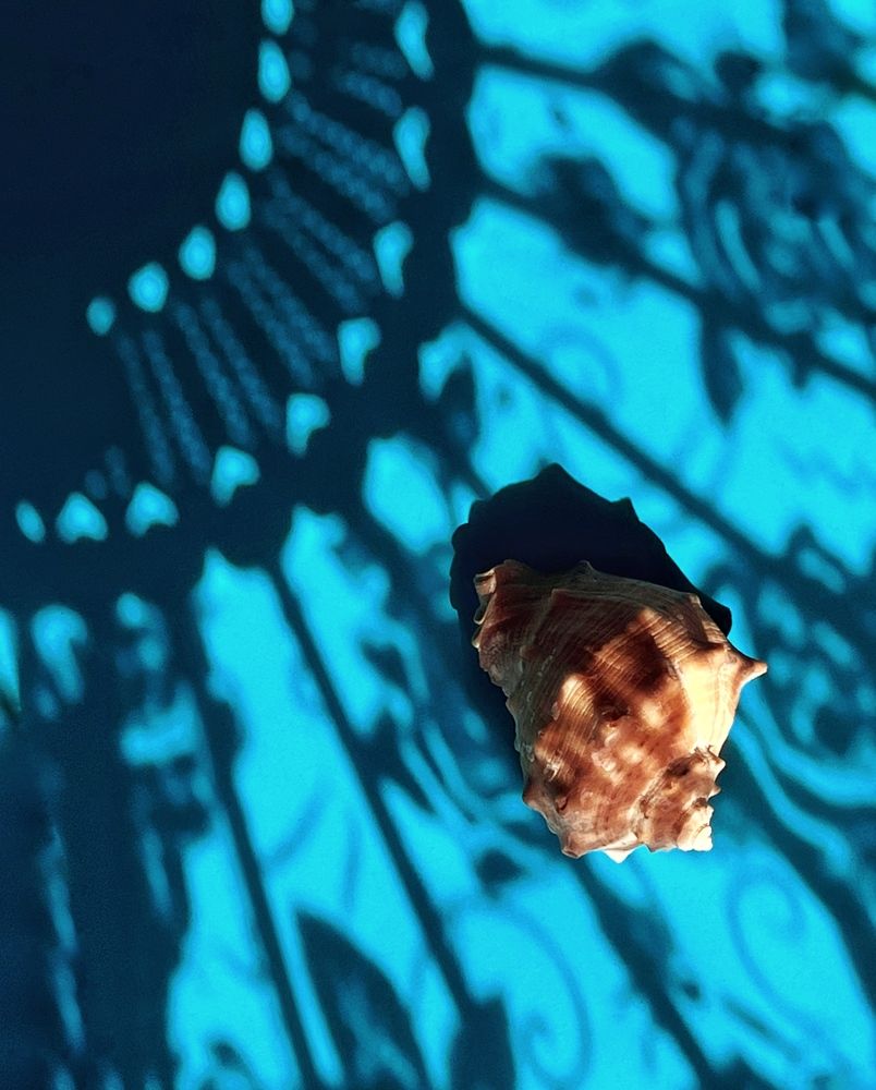 Photograph by Елена Громова