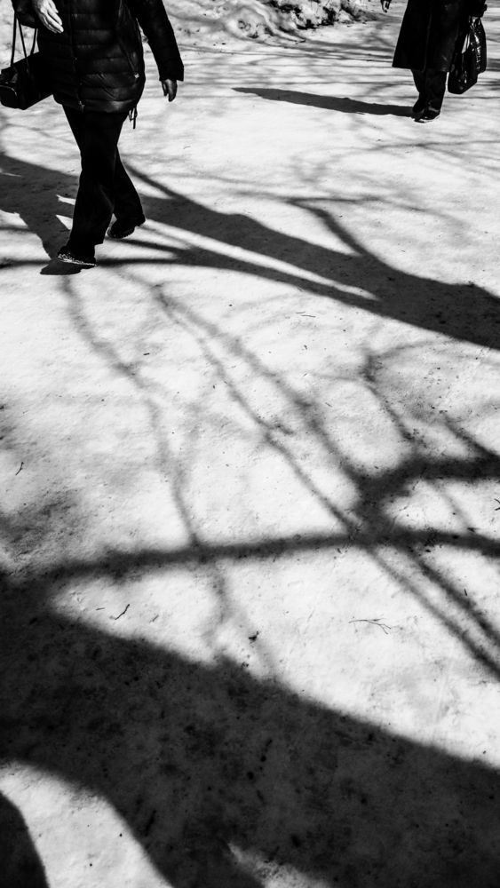 Photograph by Дарина Фельдман