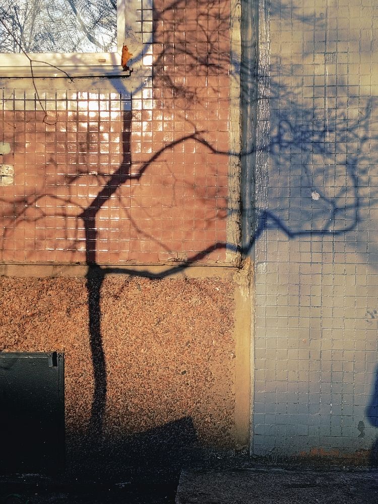 Photograph by Сафронова Любовь