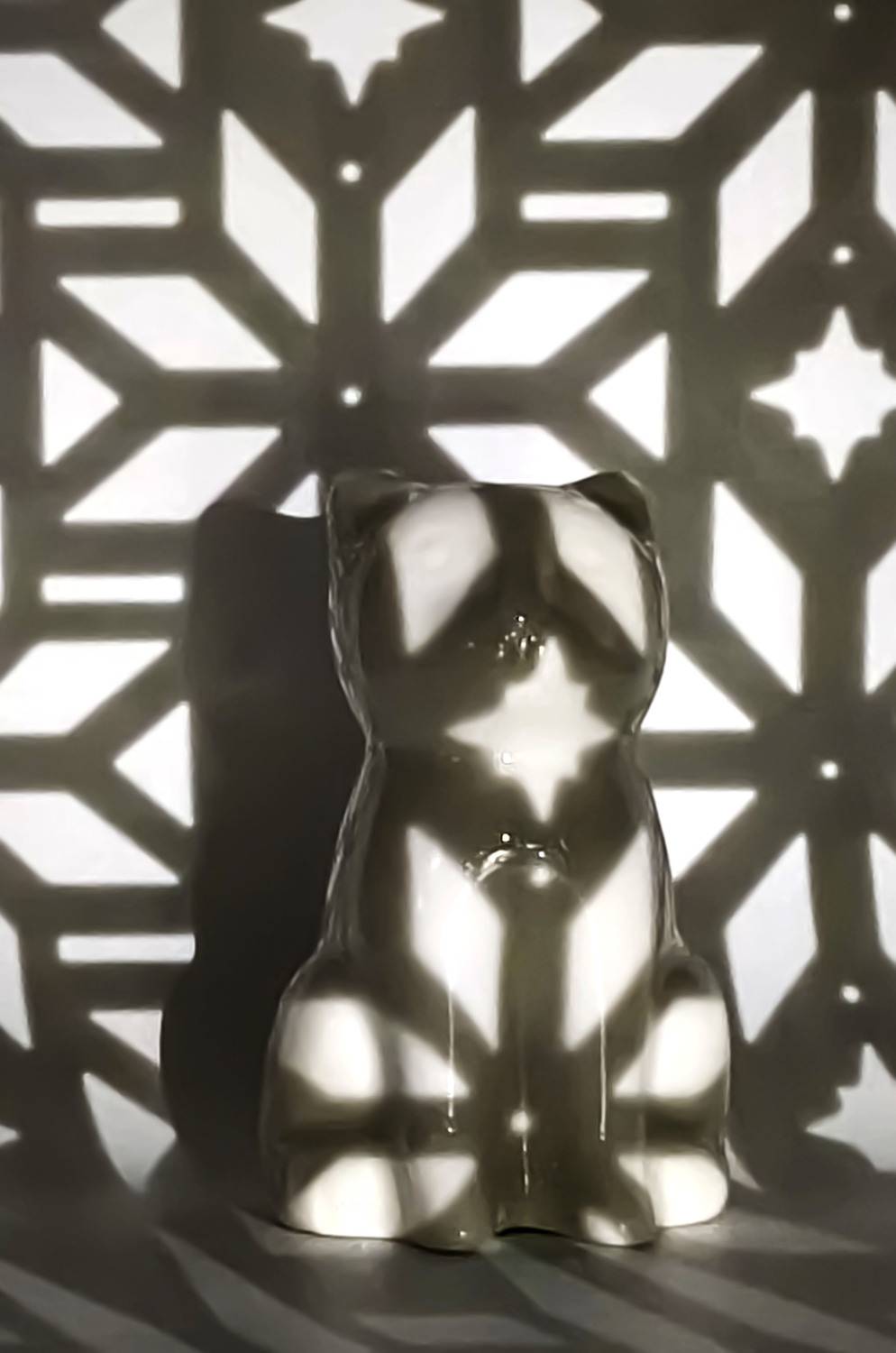 Котик в снежинках