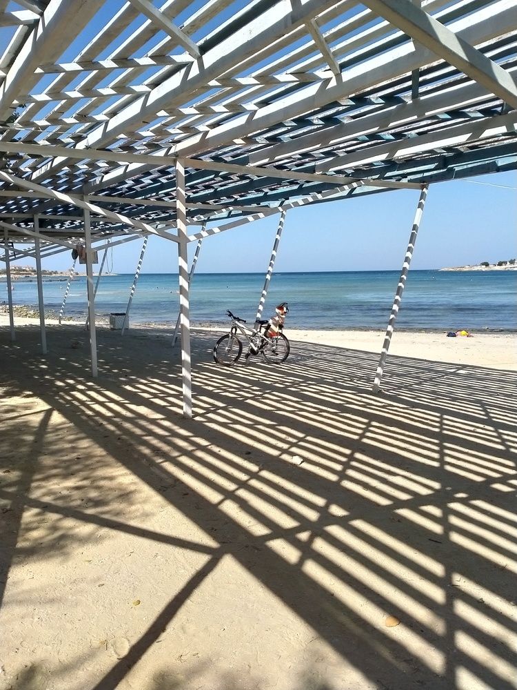 Photograph by Инна Гришина