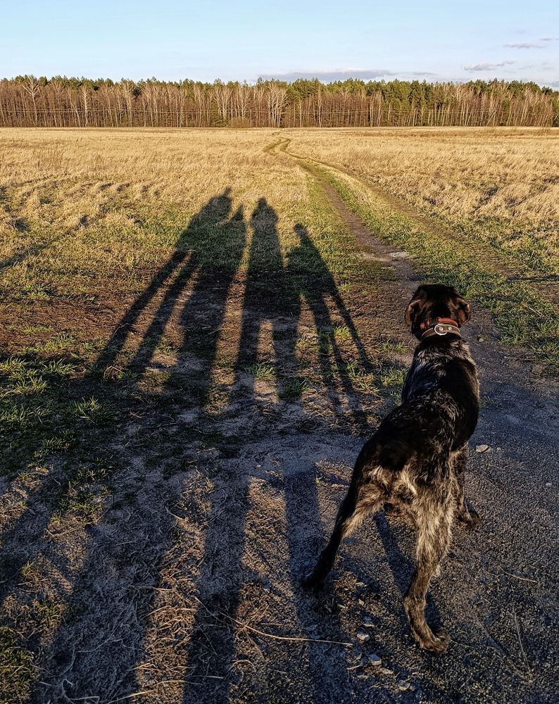 Photograph by Юлия