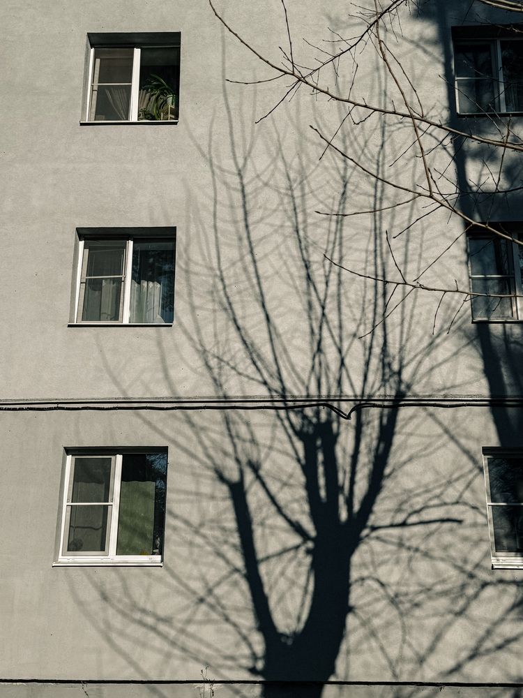 Фотография автора Анастасия Терехова