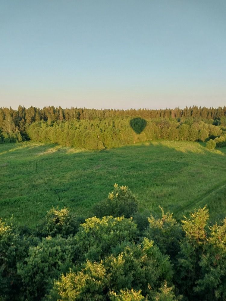 Photograph by Olga Bagaeva