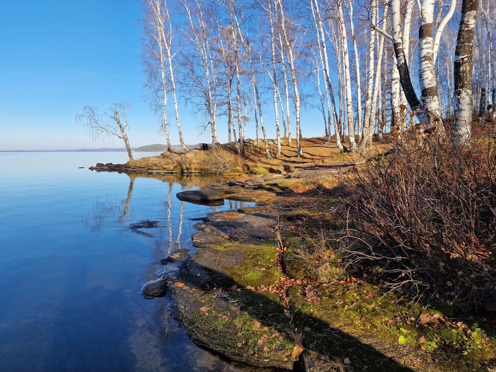 Photograph by Алексей Ворочев