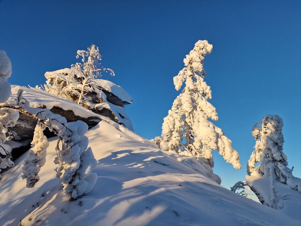 Photograph by Алексей Ворочев