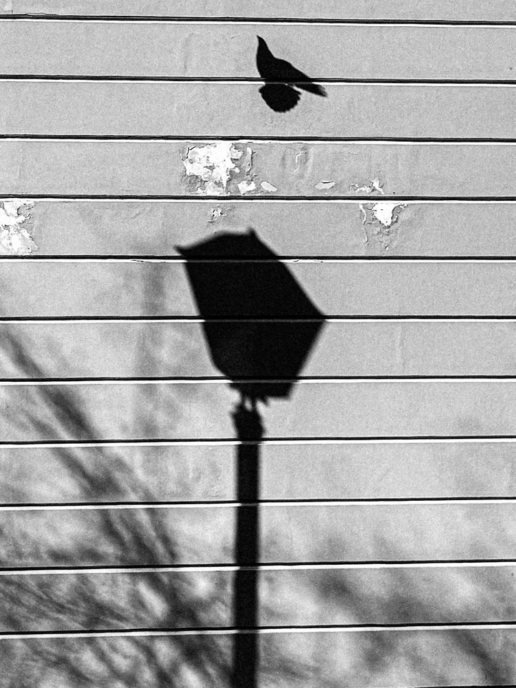Photograph by Yan Chernushevich