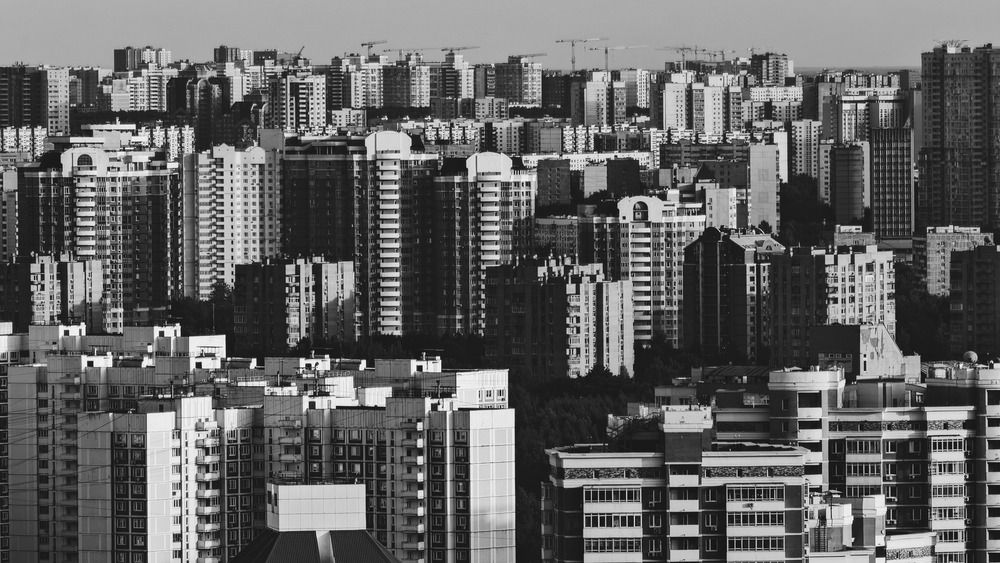 Фотография автора Василий Шумкин