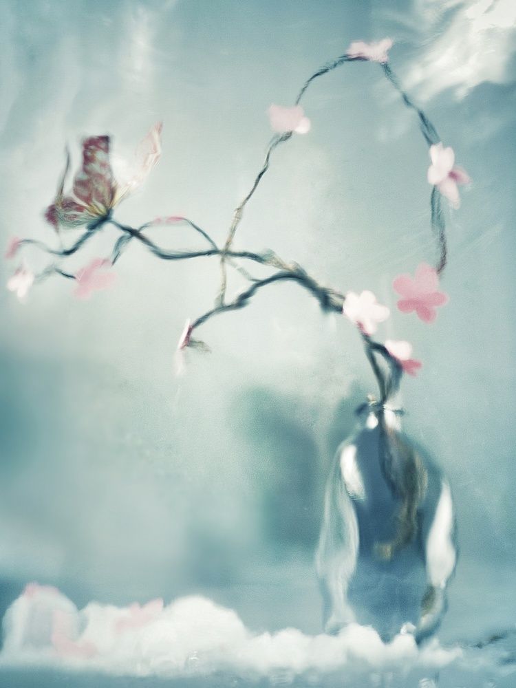 Photograph by Margarita