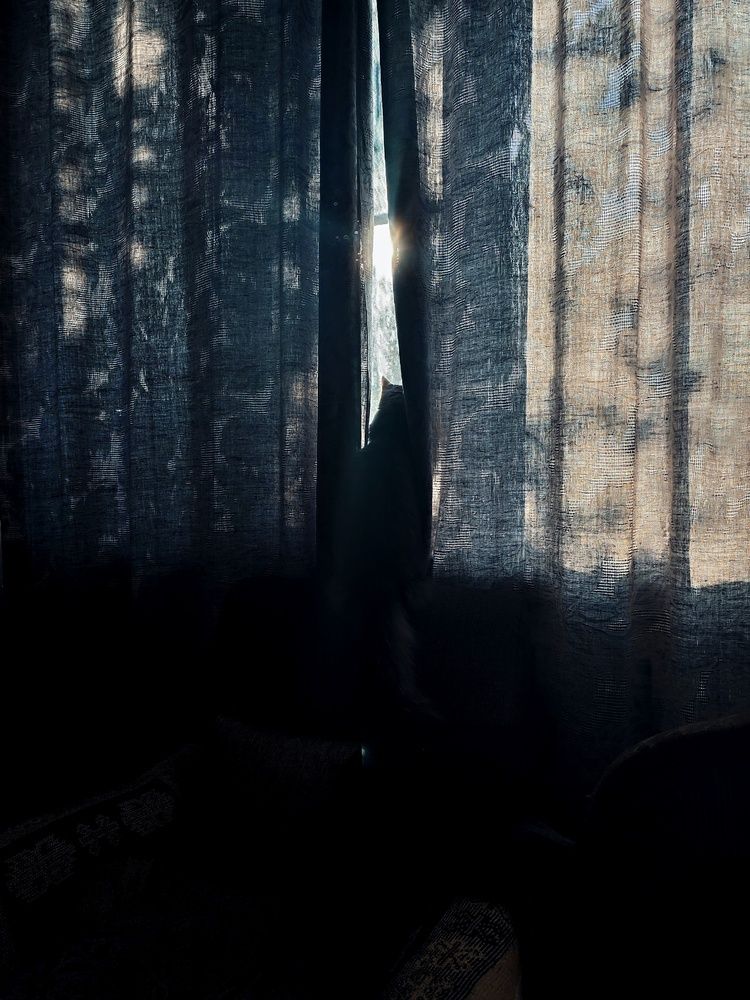 Photograph by Вероника Янина