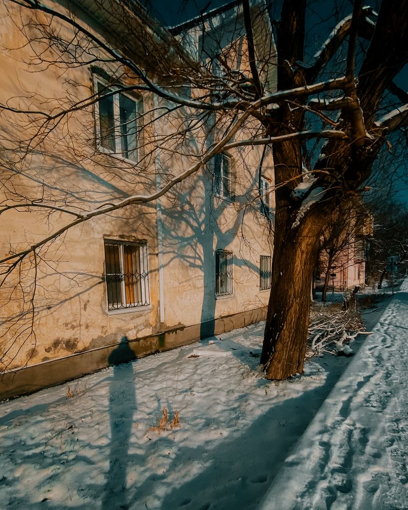 Фотография автора Сергей Удовиченко