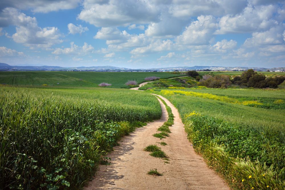 Весенняя дорога