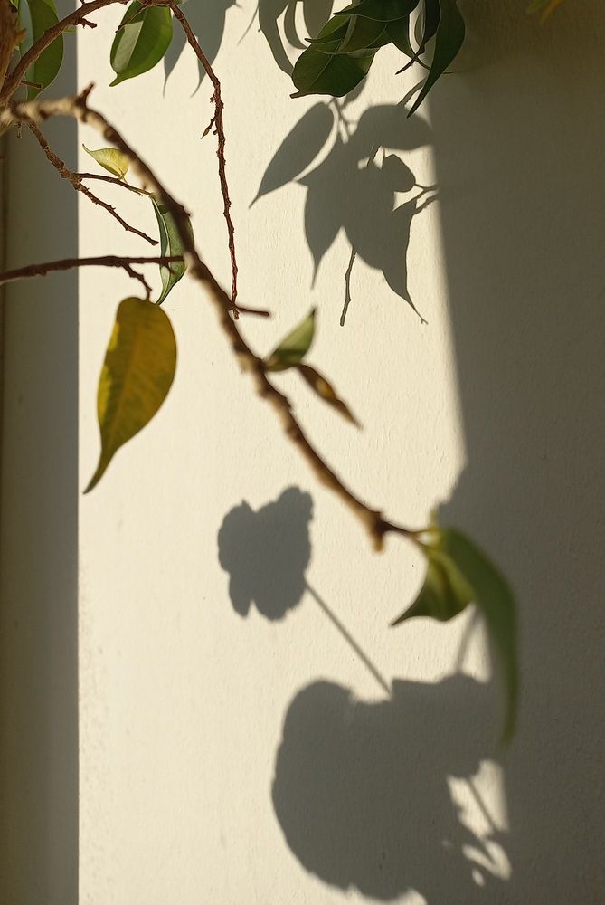 Photograph by Анастасия Останина