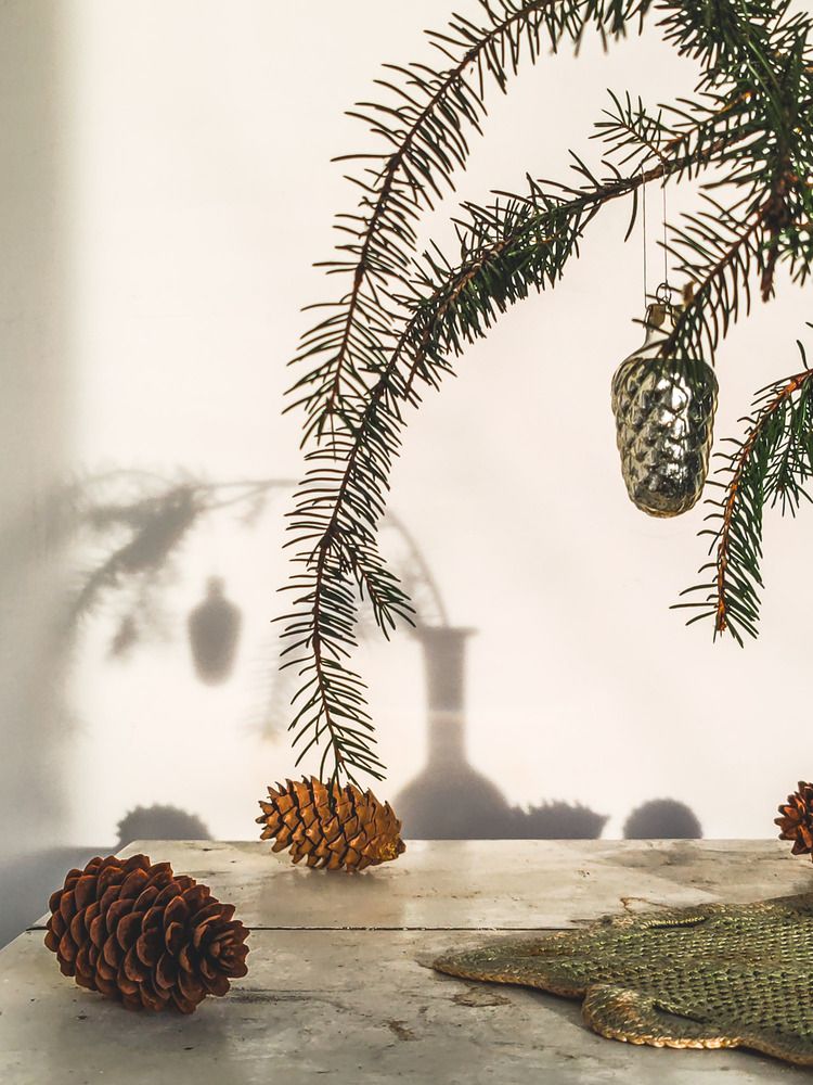 Photograph by Екатерина Брехова