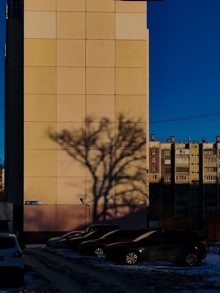 Photograph by Екатерина Брехова