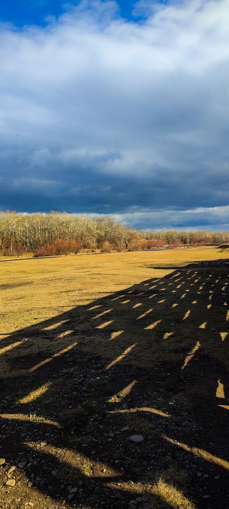 Photograph by Оркина Ксения
