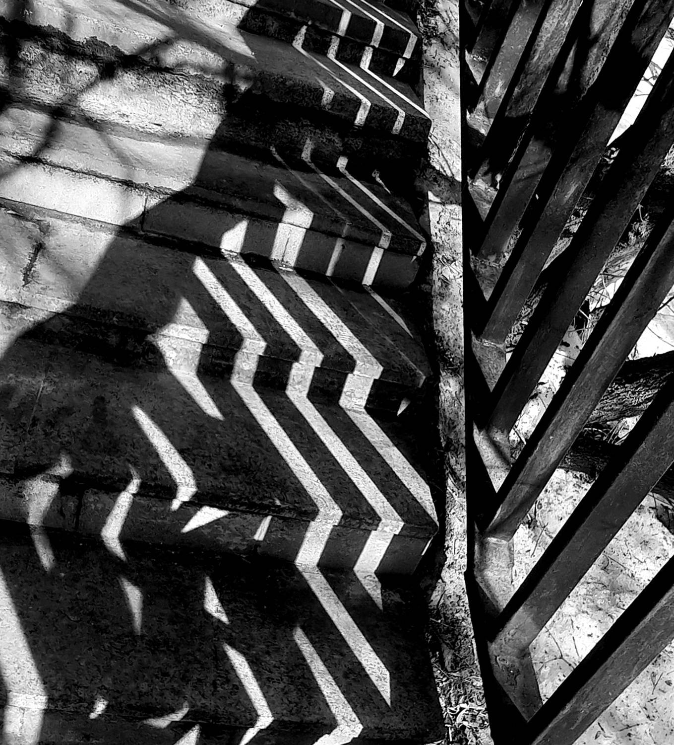 Фотография #13457689