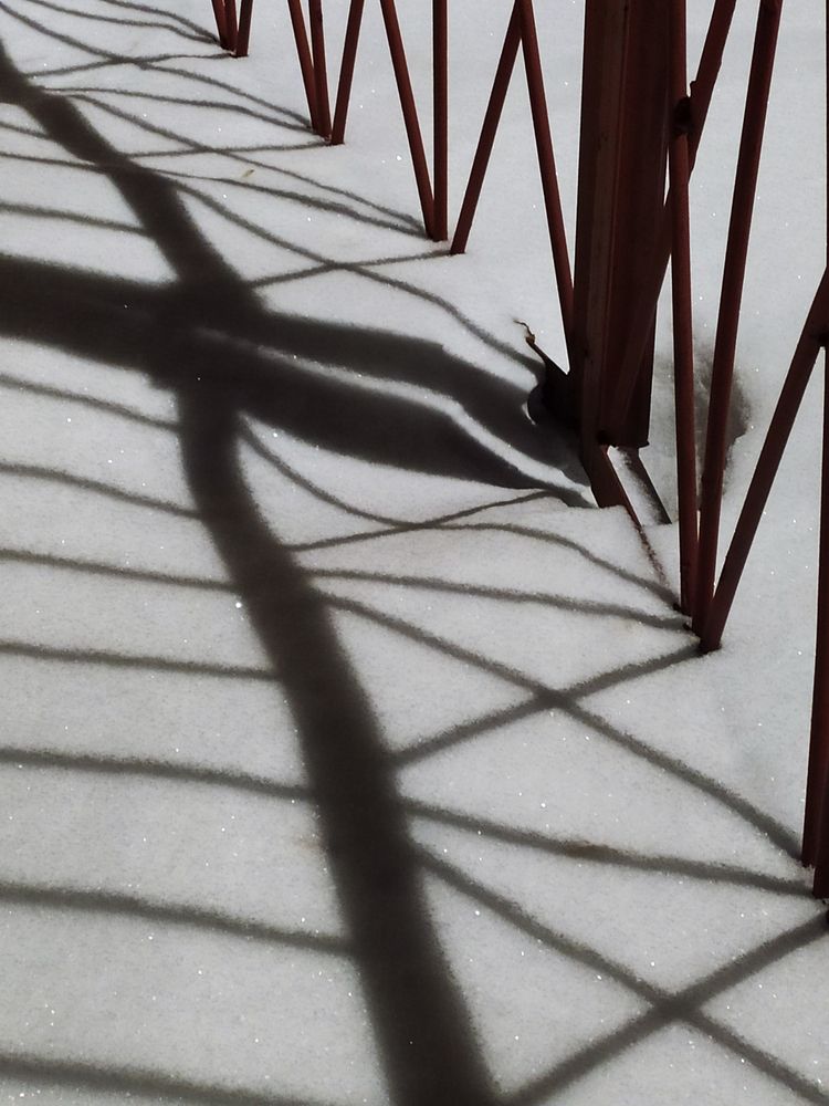 Photograph by Наталья Веселкина