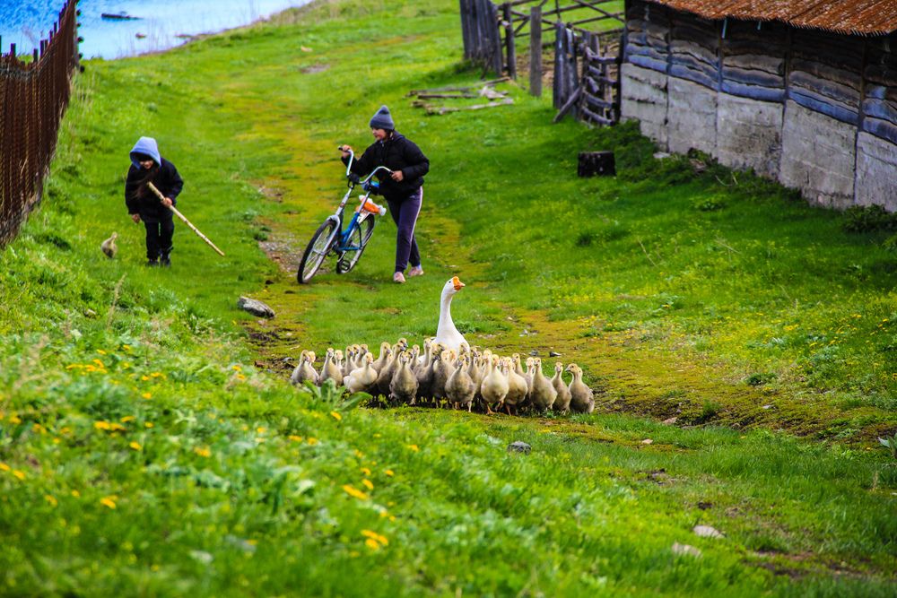 Photograph by Любовь Замятина