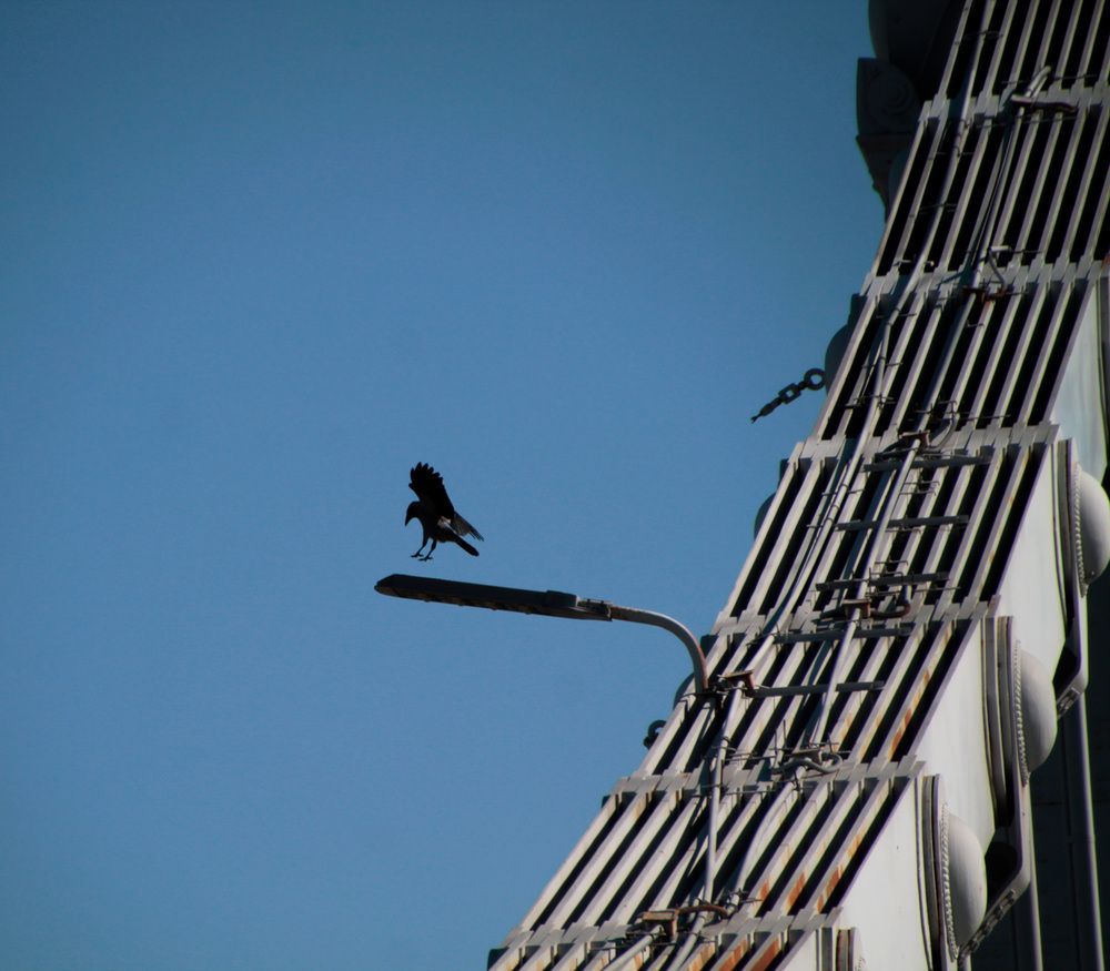 Photograph by Mark Litvak