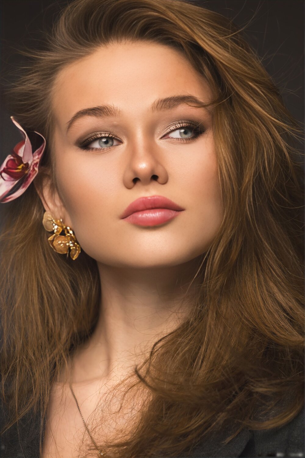 Photo #13457754