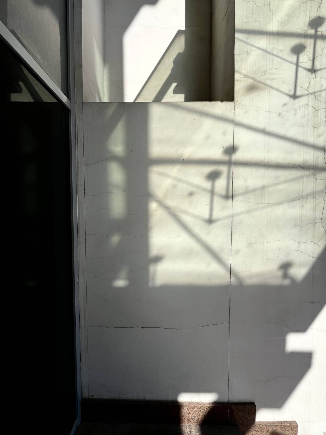 Фотография #13457846