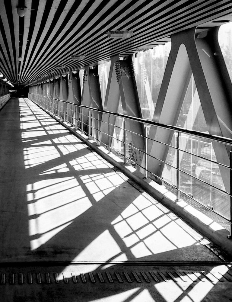 Photograph by Михаил Обертаев