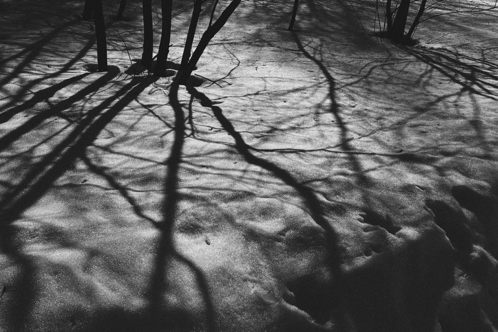 Photograph by Илья Михайлов