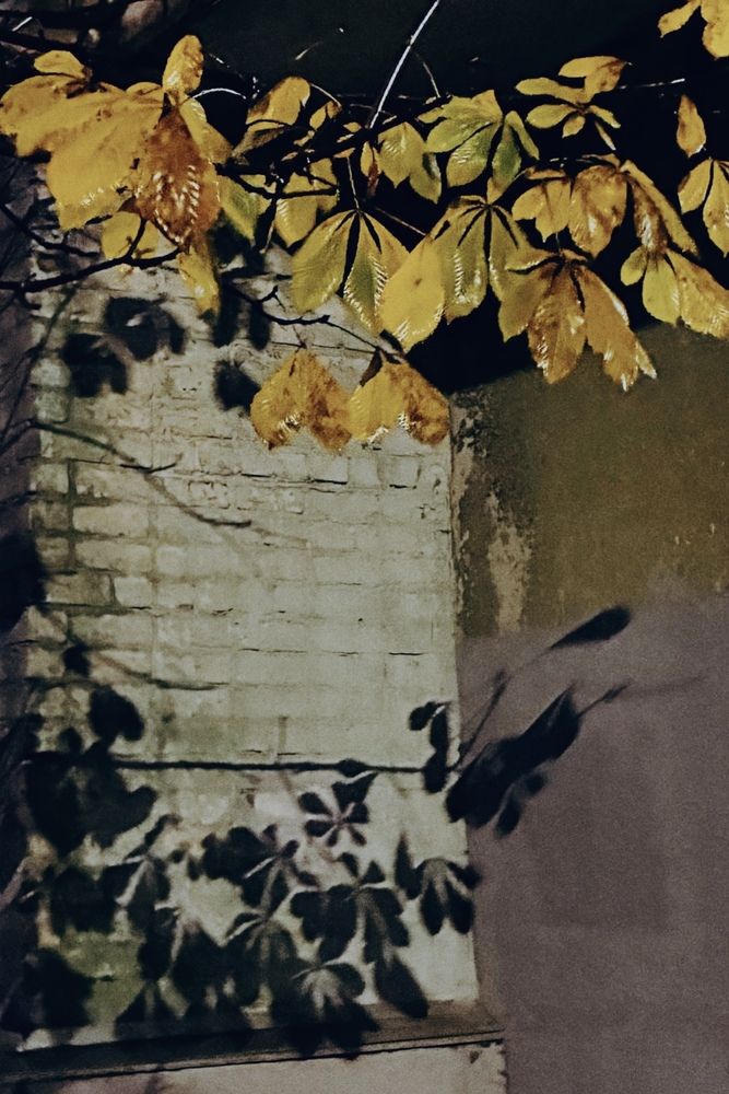 Photograph by Илья Михайлов