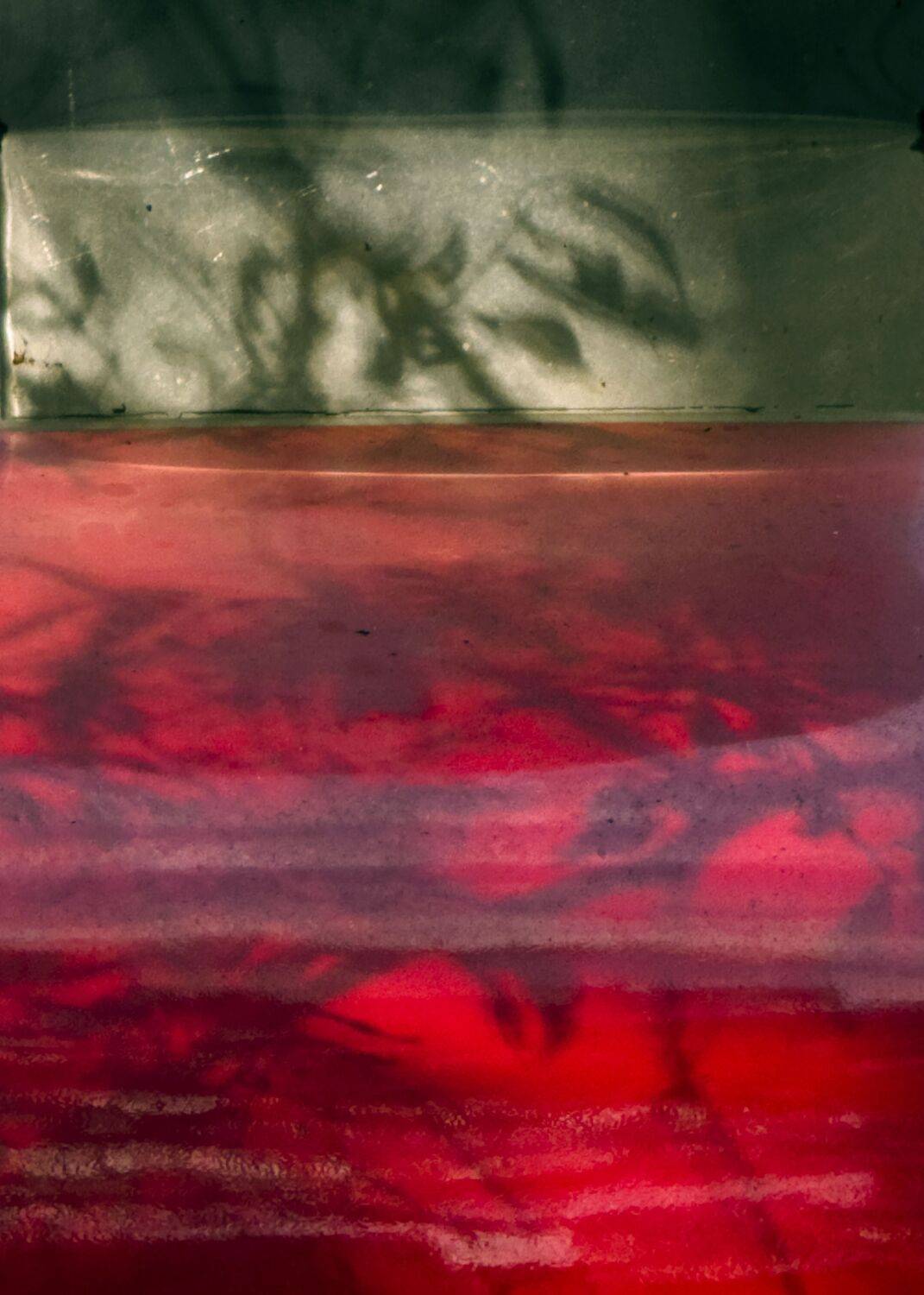 Фотография #13458267