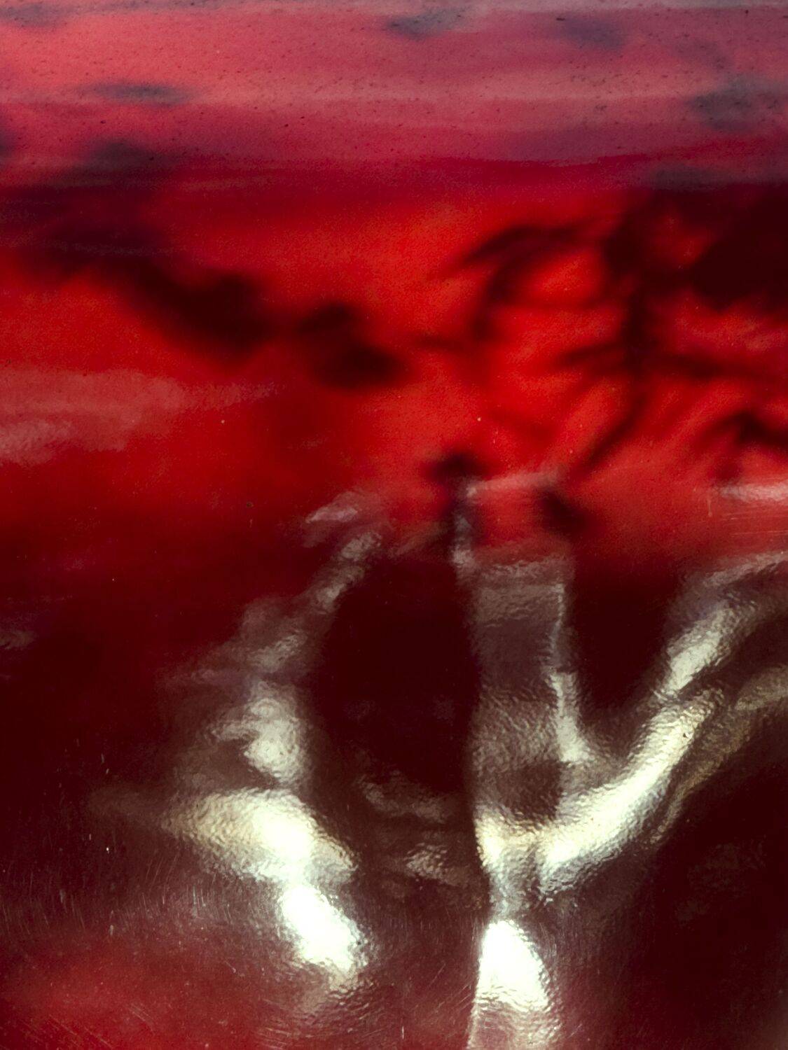 Фотография #13458268