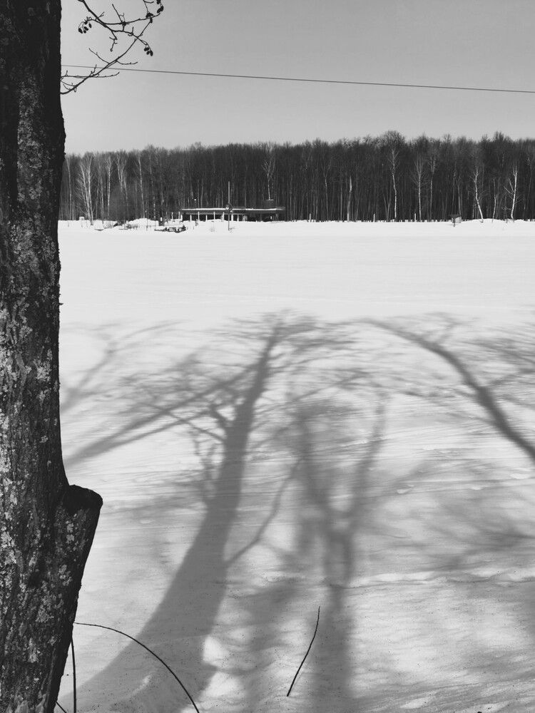Photograph by Галина Бессуднова