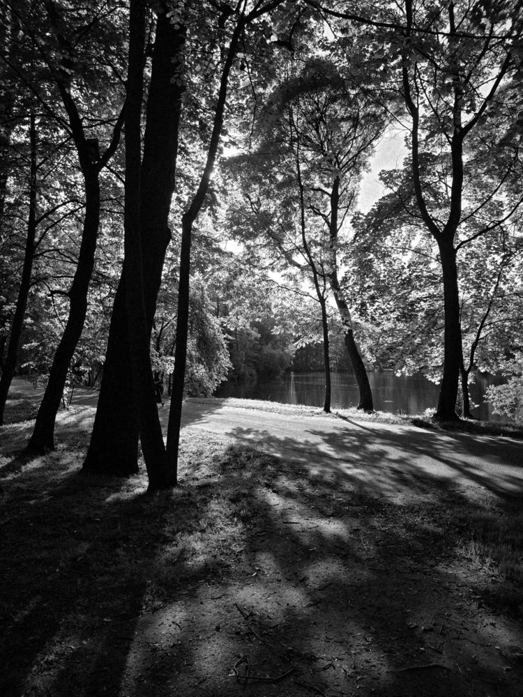 Photograph by Ирина Муравьева