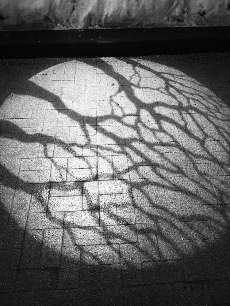 Photograph by Наталья Мартынова