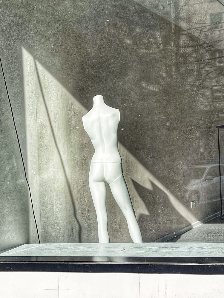 Фотография автора Яна Сел