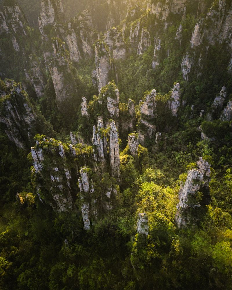 Photograph by Артамонов Александр