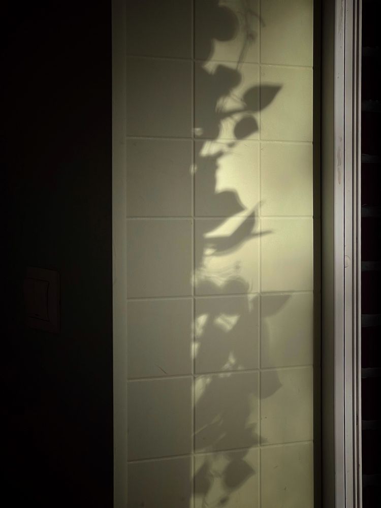 Фотография автора Яна Сел