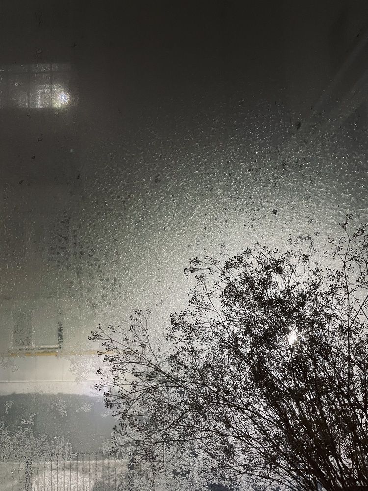 Photograph by Елена