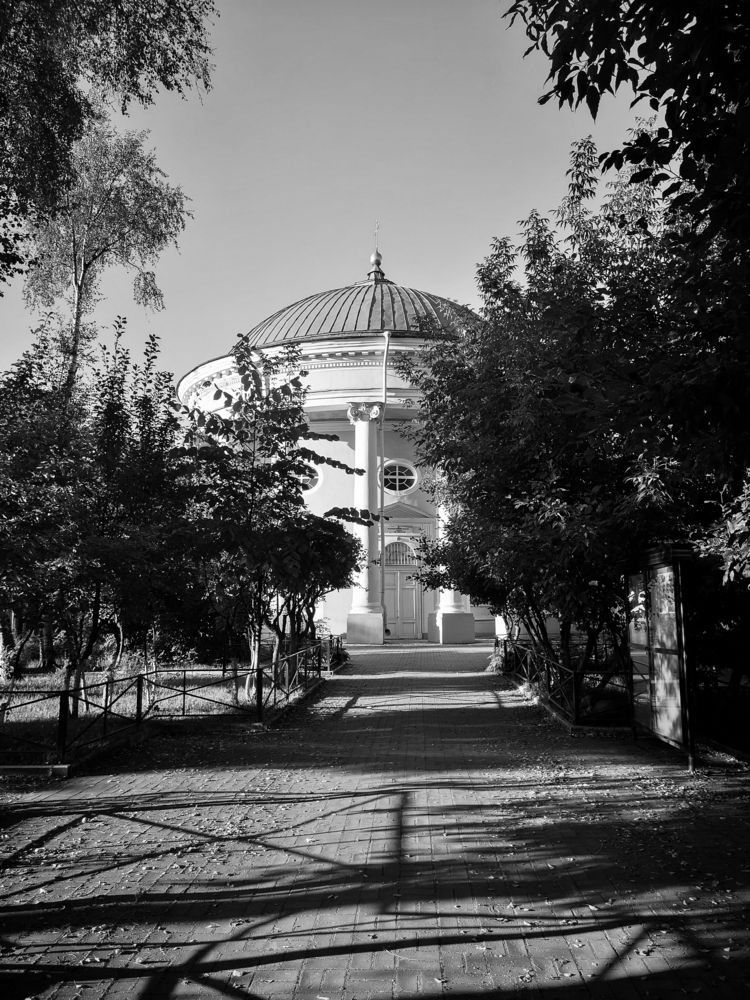 Photograph by Алина Стемковская