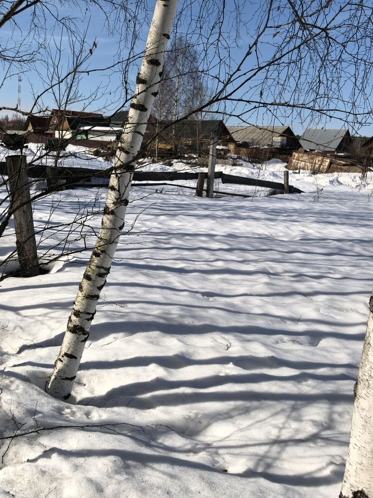 Photograph by Елена Охапкина