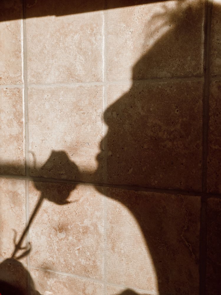 Photograph by Александра Воронина