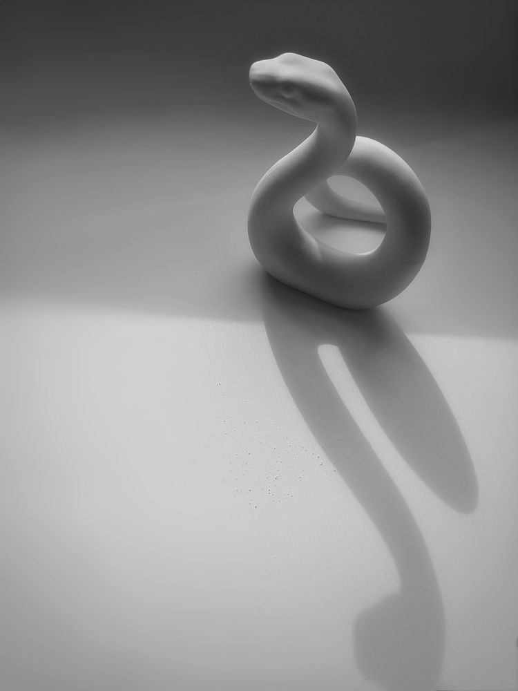 Фотография автора Elvira Oleinik