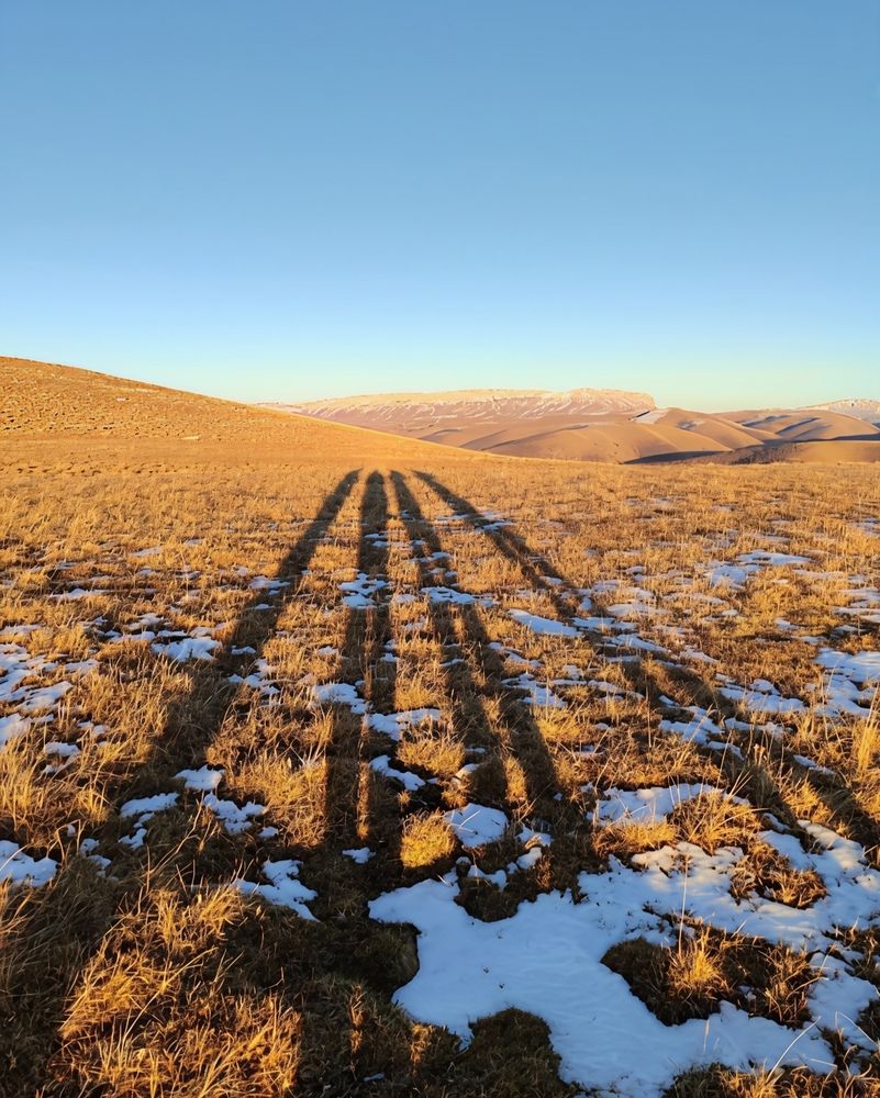 Photograph by Юлия Холомцева